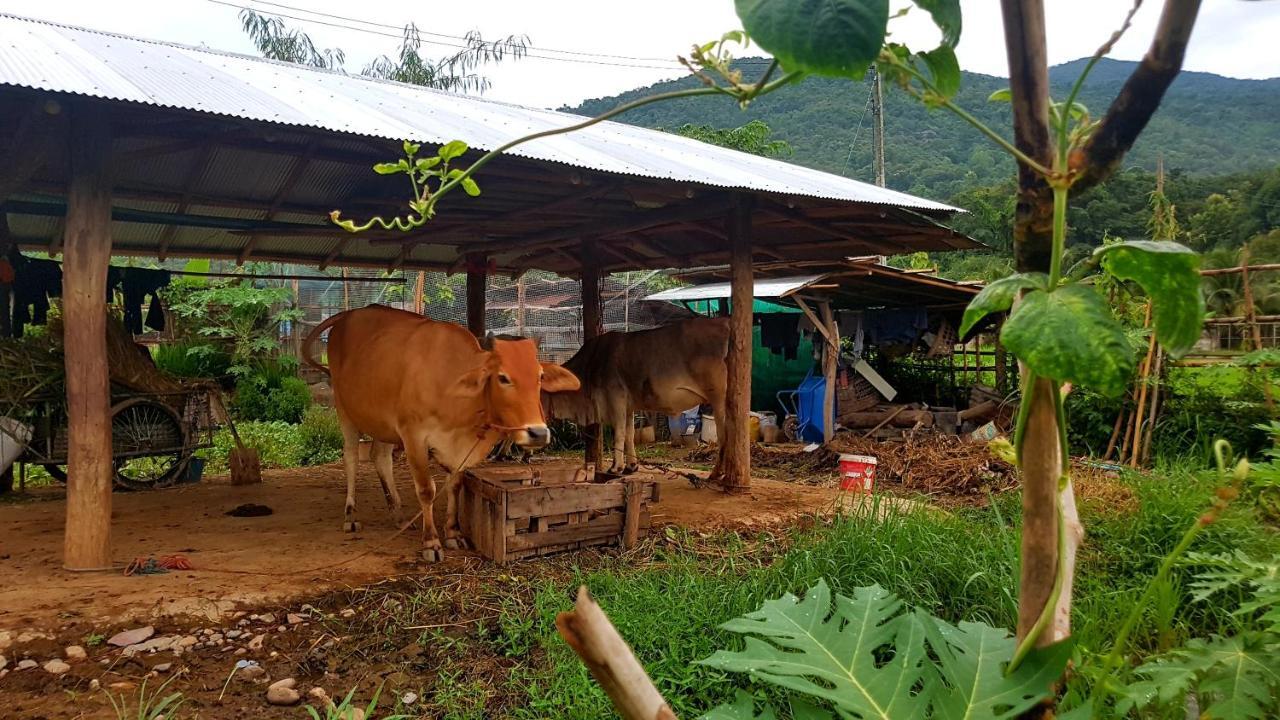 ฮ้างนาตาจันทร์ Villa Pua Exteriör bild